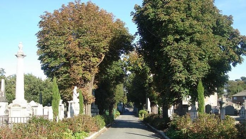 Mount Jerome - Research suggests the extent of neglect was greater than thought