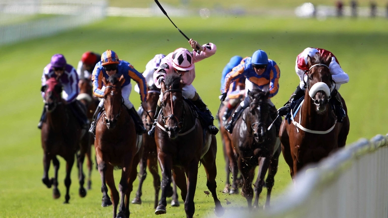 Plans for Pathfork are fluid following his battling win at HQ