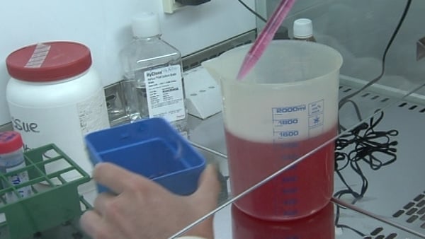 Trinity College - Diabetes discovery