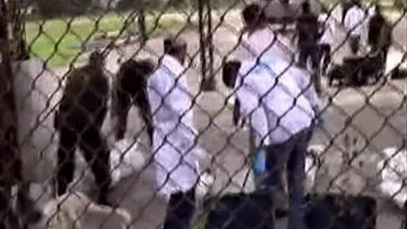 Colombia - 22 killed by military