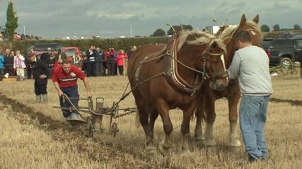 Athy - Second year that event is taking place in Cardenton
