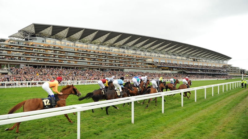 Royal Ascot is next for Naas winners Stubbs and Sandiva