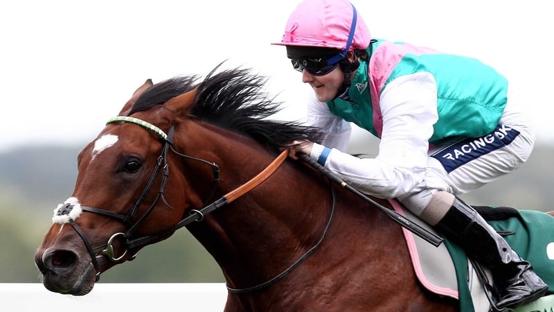 Frankel clocked a time 0.31sec quicker than the three-year-old Red Jazz (who carried the same weight) managed in the Challenge Stakes over the same course and distance 35 minutes earlier