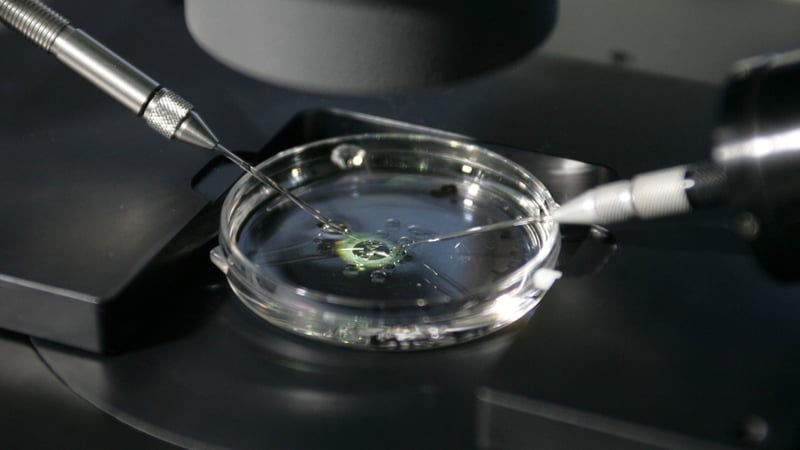 Jan Karbaat is the direct father of 49 children born after women visited his Rotterdam clinic, where he used his own sperm