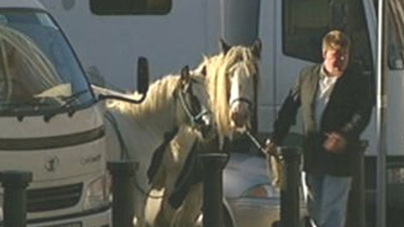 Smithfield horse fair - Anger over disruption