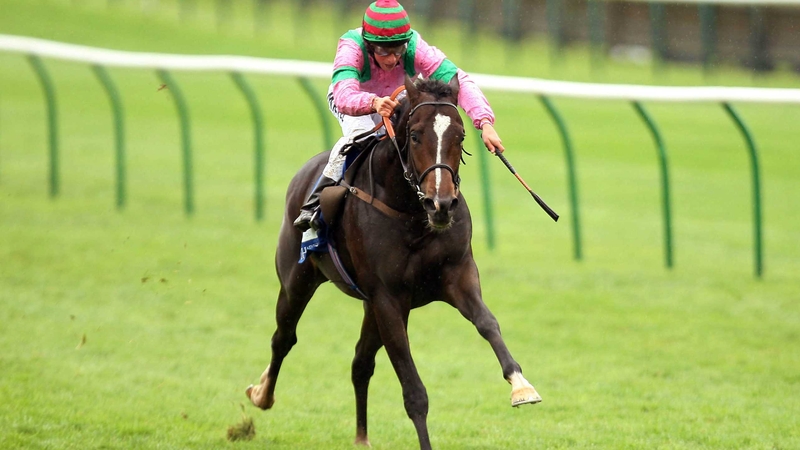 Dream Ahead - the star juvenile looks set to miss next weekend's 2000 Guineas at Newmarket