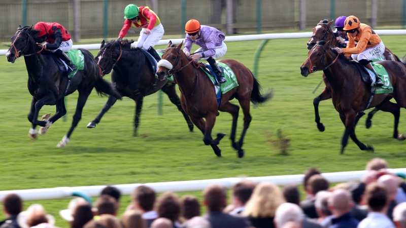 Makfi (purple silks) caused a 33-1 upset when he landed the 2000 Guineas in May