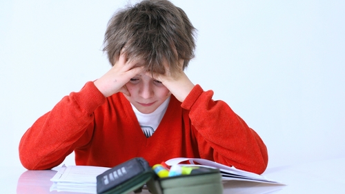 Homework - 'Homework can often be the sourse of a huge amount of stress between parents and children'