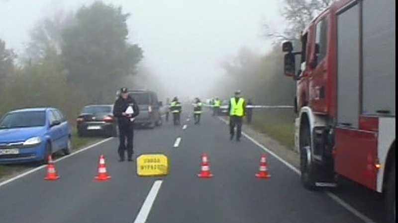 Poland - Mini-bus and lorry in collision