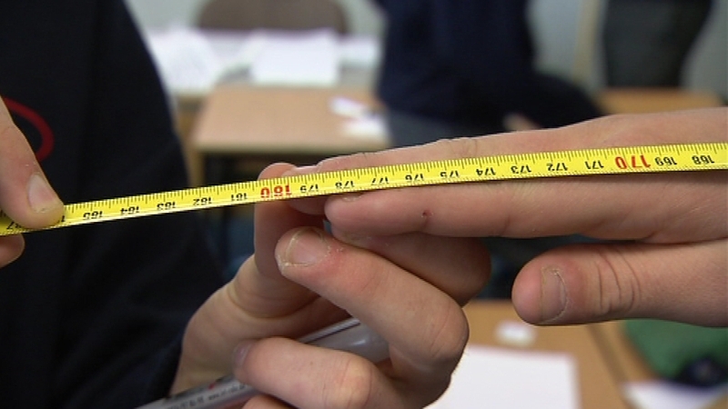 One critic said Project Maths would leave young people ill prepared for third-level studies