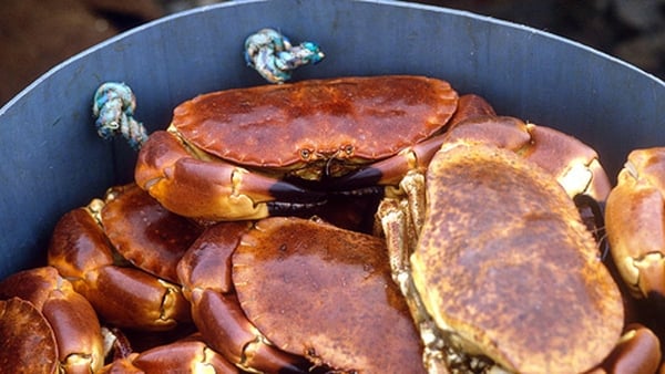Crab Bisque