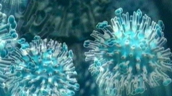 Swine Flu - 185 cases in NI in last week of 2010