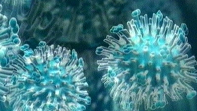 Swine flu - 7,700 new cases confirmed last week