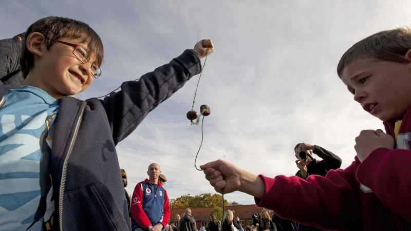 First held in 1965, the World Conker Championships has raised more than £400,000 for charity