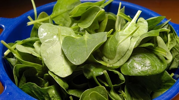 Spinach Soup with Rosemary Oil
