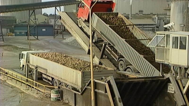 Mallow plant - Closure 'Greencore decision alone'
