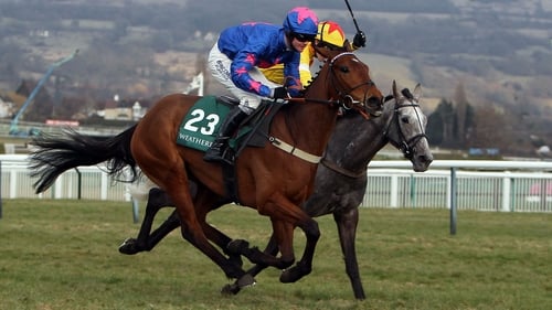 Colin Tizzard's Cue Card is a warm order for the opening race of the Cheltenham Festival