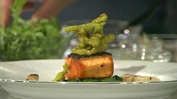 Roasted Organic Salmon, with Salsify Purée, Braise