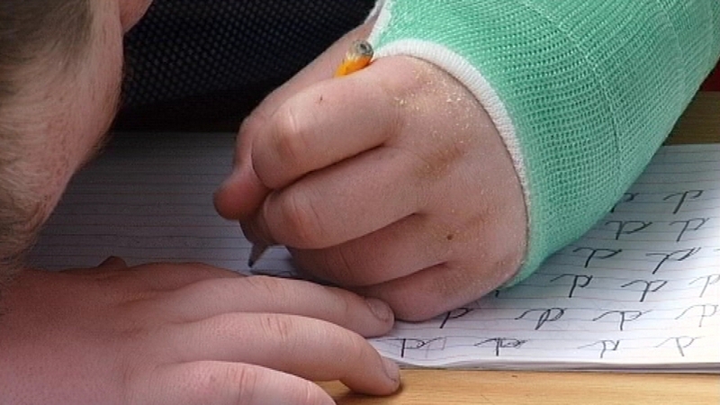 Primary education - Forum on patronage was established earlier this year