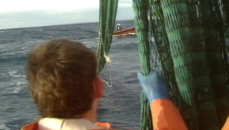 Fishing quotas - Announced for the year