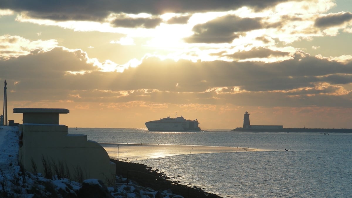 Bull Island to restrict access to public to protect biodiversity