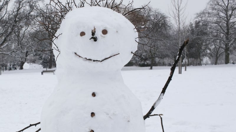 Snow Joke - 999 call over 'stolen' snowman