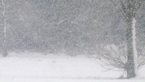 Snow - Not all bad news