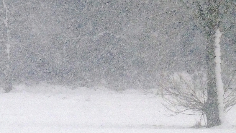 Snow - Not all bad news