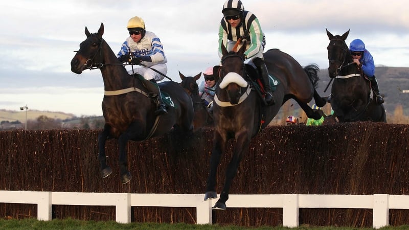 Midnight Chase (white noseband) was one of the most progressive horses in training last season