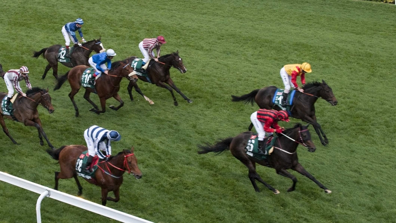 English &amp; Irish Oaks heroine Snow Fairy unleashed a devastating turn of foot to justify strong market support at Sha Tin