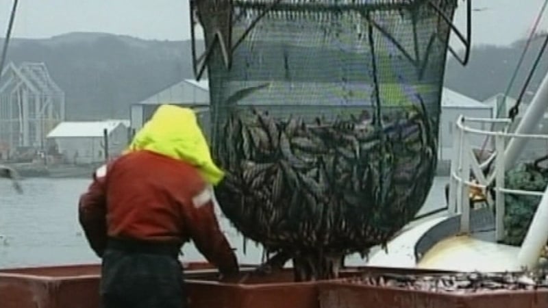 The former head of BIM said that more transparency is needed on the future prospects for the fishing industry