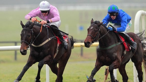 Solwhit (pink) and Hurricane Fly are set to face eachother again