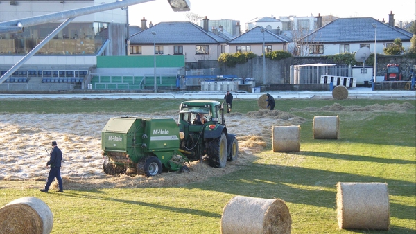 The Sportsground pitch was rebaled this morning