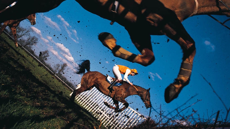 Horse racing - World-renowned stud farms taking challenges