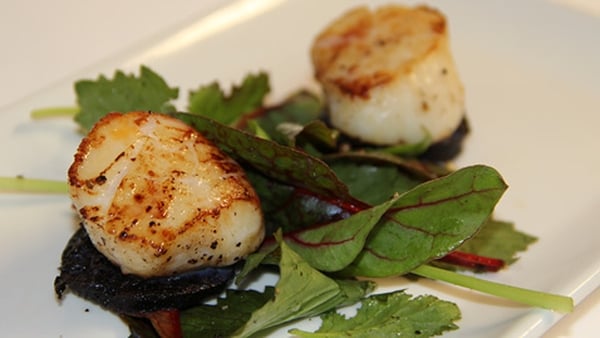 Pan Seared Scallops with Black Pudding and Dressed