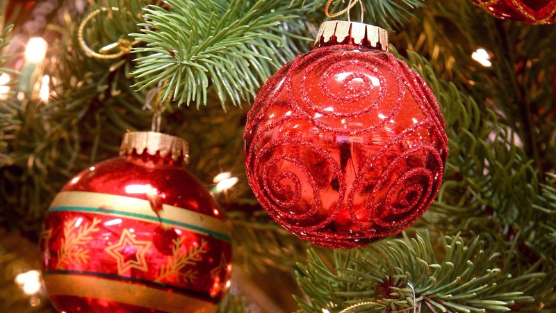 Something for everyone