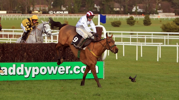 Pandorama was last seen on the racecourse when running out an impressive winner of the Lexus Chase