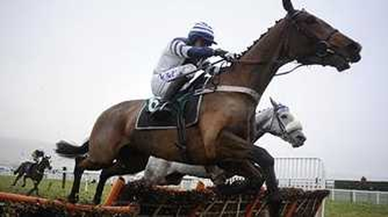 Oscar Whisky leads the charge at the Ladbrokes World Hurdle