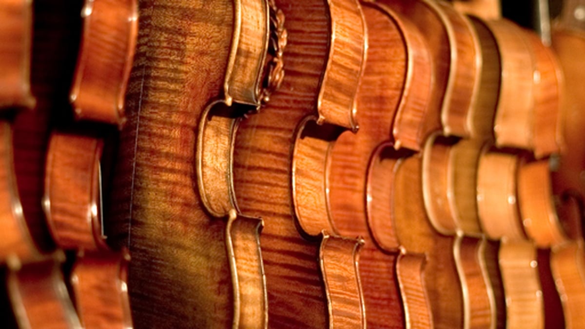 'It's so unique it can't be sold on' - Violinist on theft of invaluable instrument