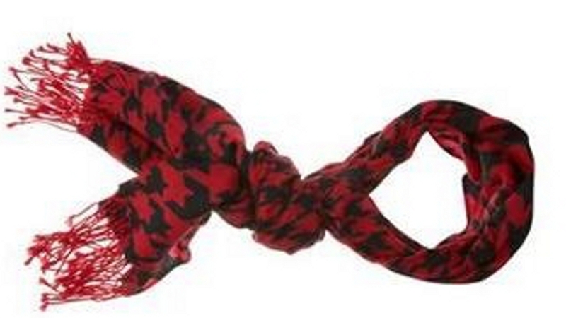 Scarf - Blathnaid Timothy is believed to have been wearing a similar scarf the night she disappeared