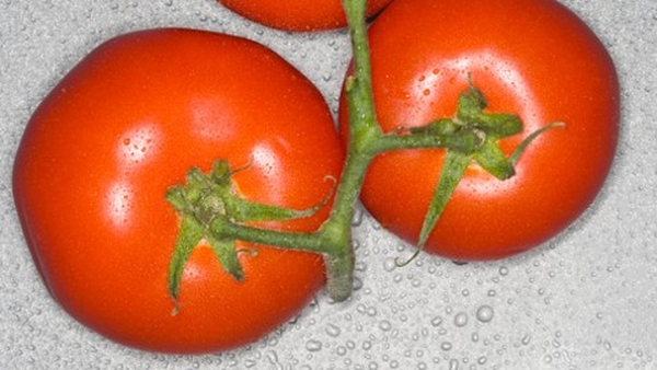 Oven Roast Tomatoes