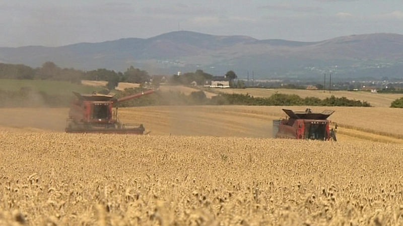 Food prices - UN index hits record high