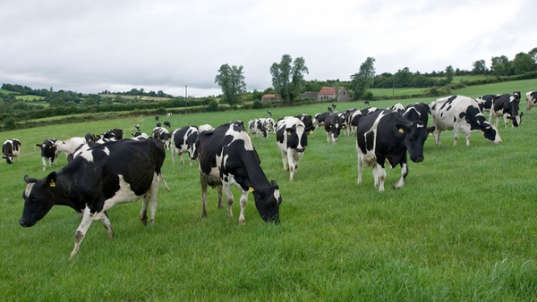 Michael Creed said farm incomes is one of his priorities as minister