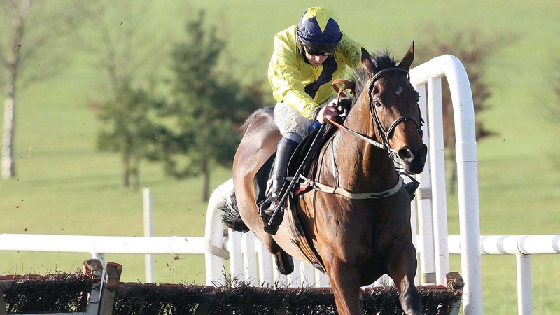 Recent results disappointing for Shinrock Paddy