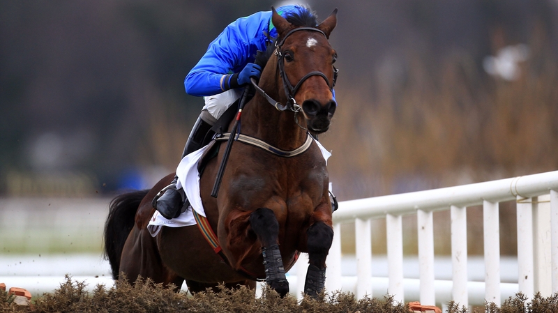 Hurricane Fly - Will be the star attraction on day two of the Leopardstown January festival