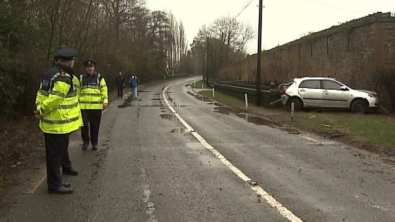 Cork - Garda appeal for witnesses to crash