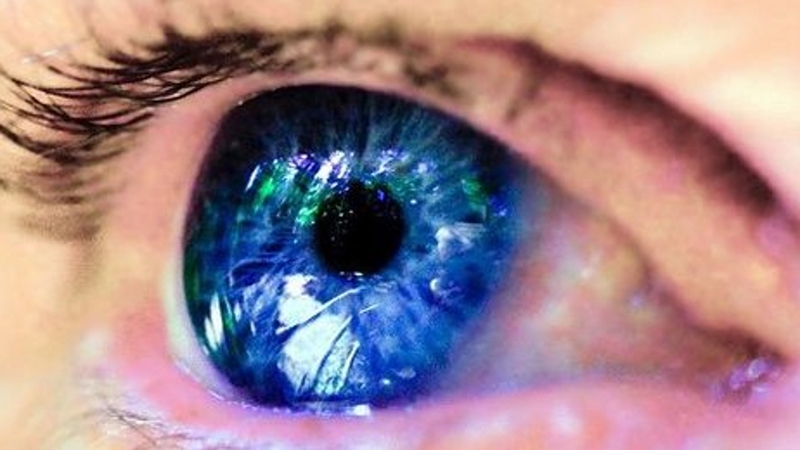 11% of teenagers surveyed said they had met up with someone they contacted online