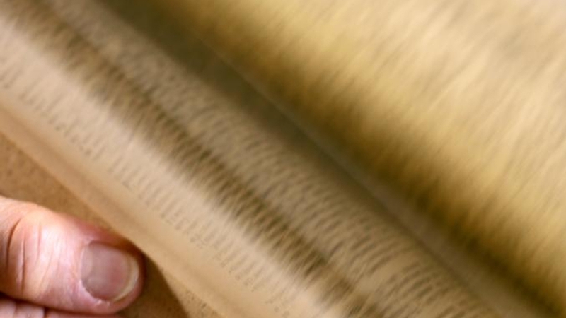 Usage of 'post-truth' has increased by around 2,000% since last year