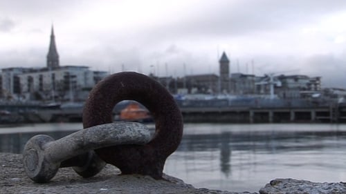 The basking shark was spotted this morning in Dún Laoghaire