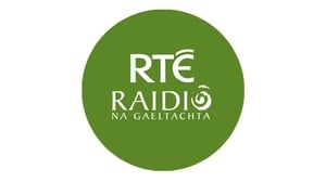 Róisín Nic Ghearailt, scríbhneoir agus file.  show image